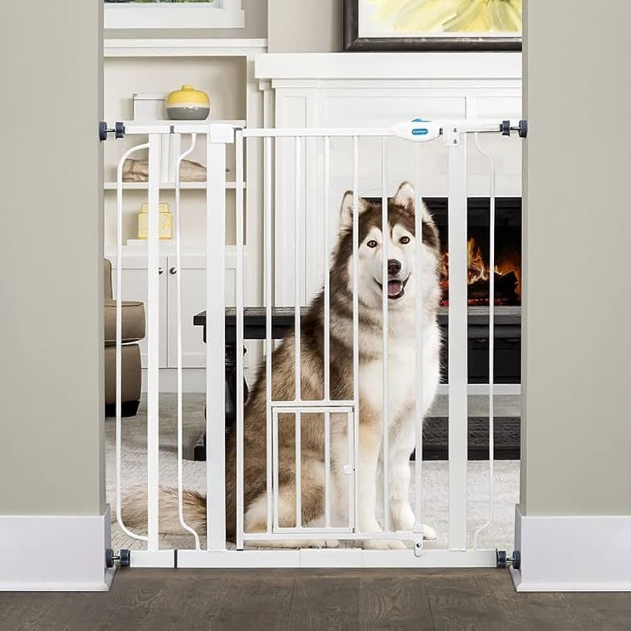 Carlson Extra Tall Walk Through Pet Gate with Small Pet Door, Includes 4-Inch Extension Kit, 4 Pa... | Amazon (US)