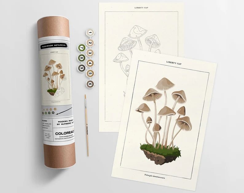 Mushroom Botanical Modern Paint by Numbers Kit - Etsy | Etsy (US)