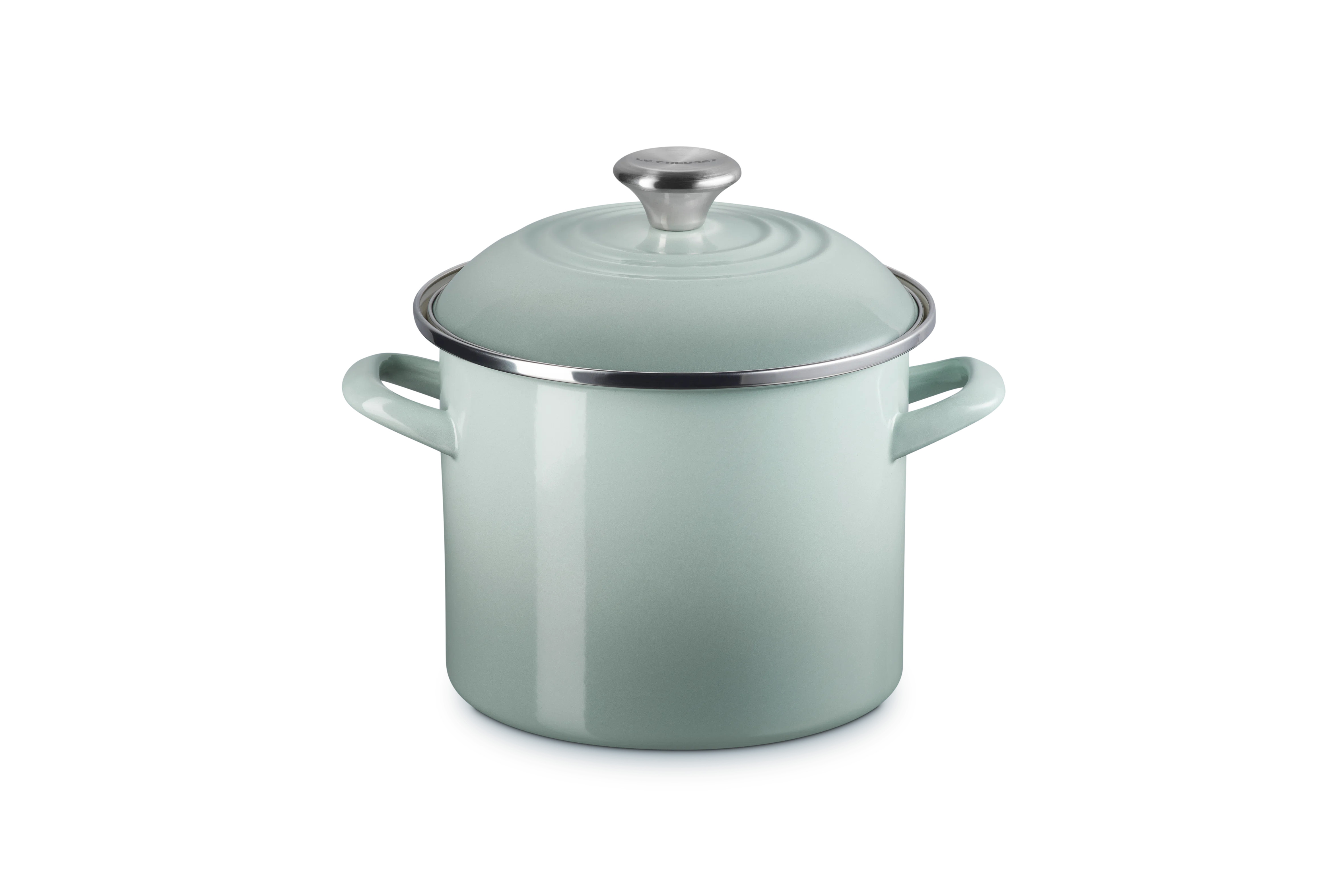 Le Creuset Enamel-On-Steel Stockpot With SS Knob | Wayfair North America