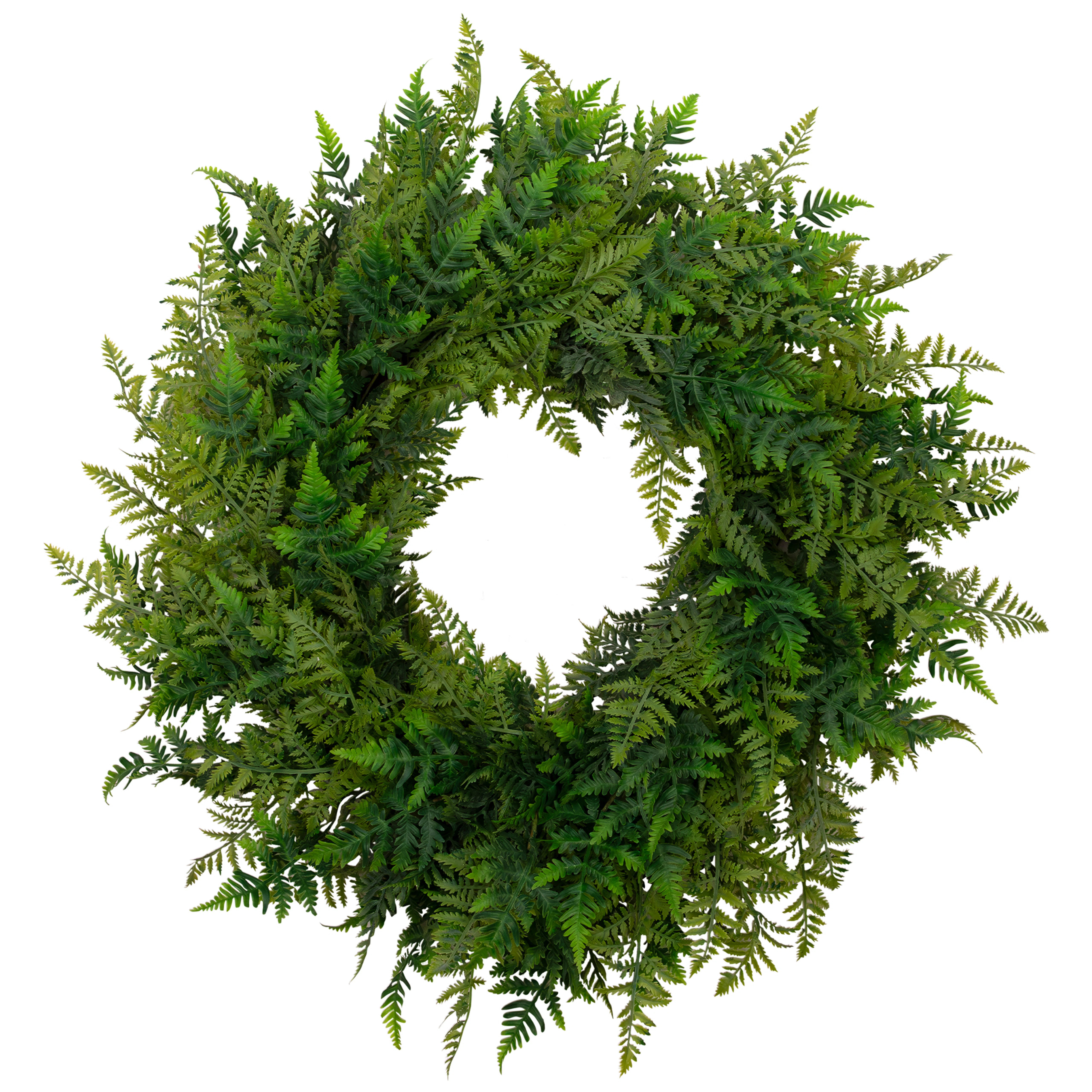 Fern Artificial Spring Twig Wreath - 28" | Wayfair North America