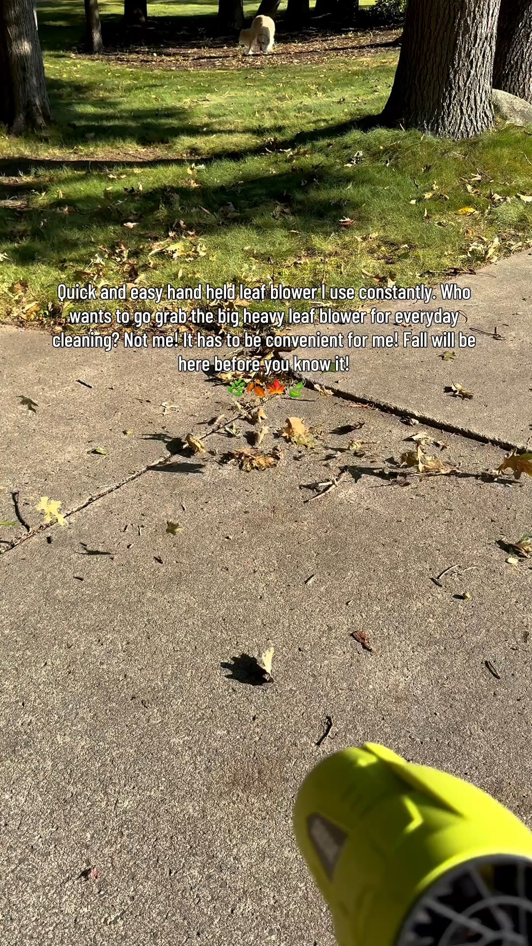 This handheld leaf blower is a life saver! It helps me tidy up all the summer/fall debris quick and easy! 
🍃🍂🍁🌿


Fall clean up, fall leaves, leaf blower, outdoors

#LTKSaleAlert #LTKvlog #LTKdayinmylife