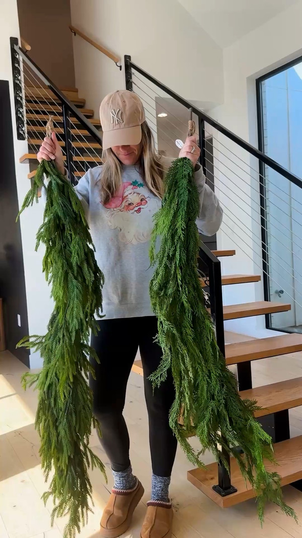 Looking to deck your halls with some festive greenery?