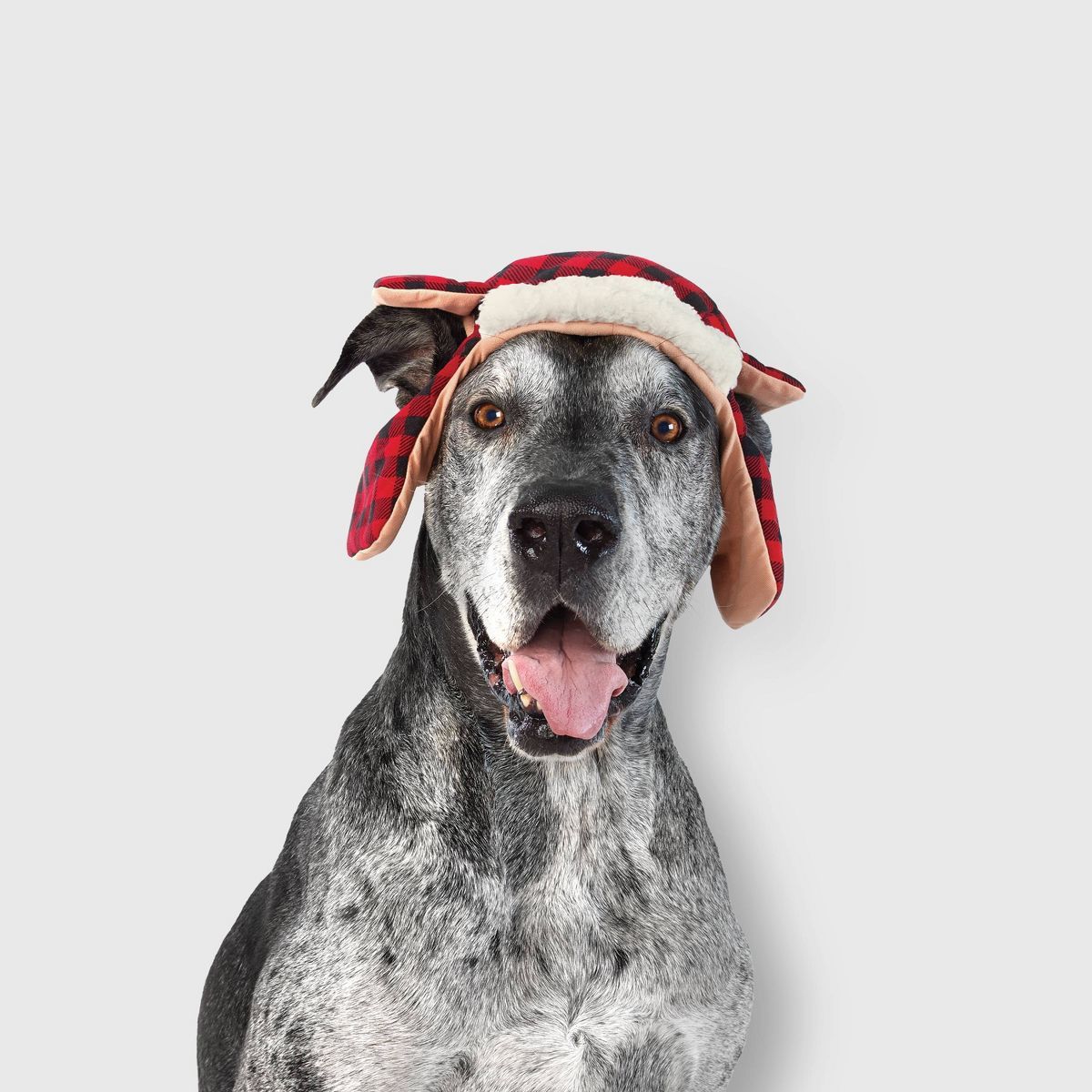 Snow Shoe Lodge Buffalo Plaid Trapper Dog Hat - S/M - Wondershop™ | Target