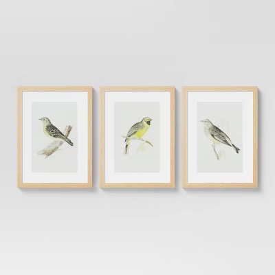 (Set of 3) 16" x 20" Birds Framed Under Glass - Threshold™ | Target