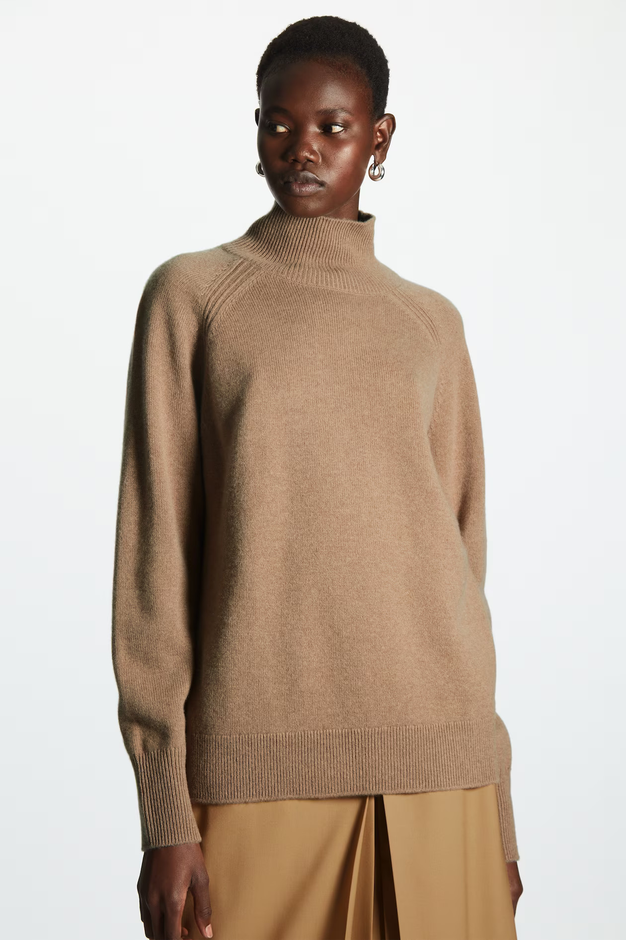 PURE CASHMERE TURTLENECK JUMPER | COS (EU)
