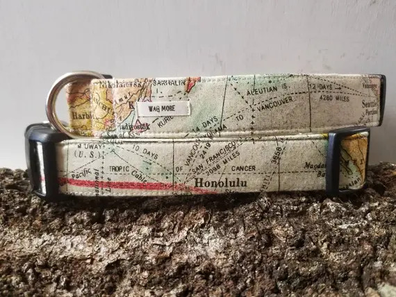 Cool Dog Collar / Map Dog Collar / Colorful Dog Collar / World - Etsy | Etsy (US)
