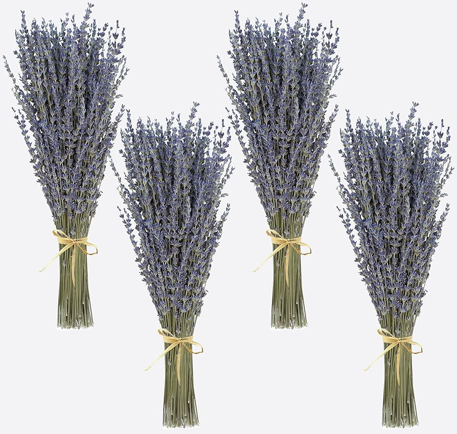 Dried Lavender 4 Bunches 100% Fresh Natural Purple Bouquet Flowers for Bathroom Photo Props Craft... | Amazon (US)