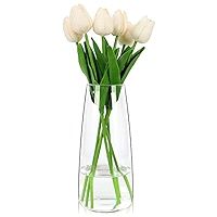 BIGIVACA 8.7 Inch Tall Clear Glass Vase,1 Pack Modern Large Flower Vases for Home Decoration,Wedding | Amazon (US)