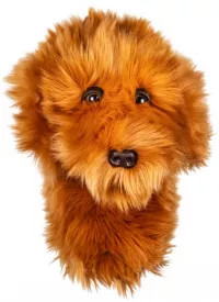 Daphne's Headcovers Doodle Driver Headcover | Golf Galaxy