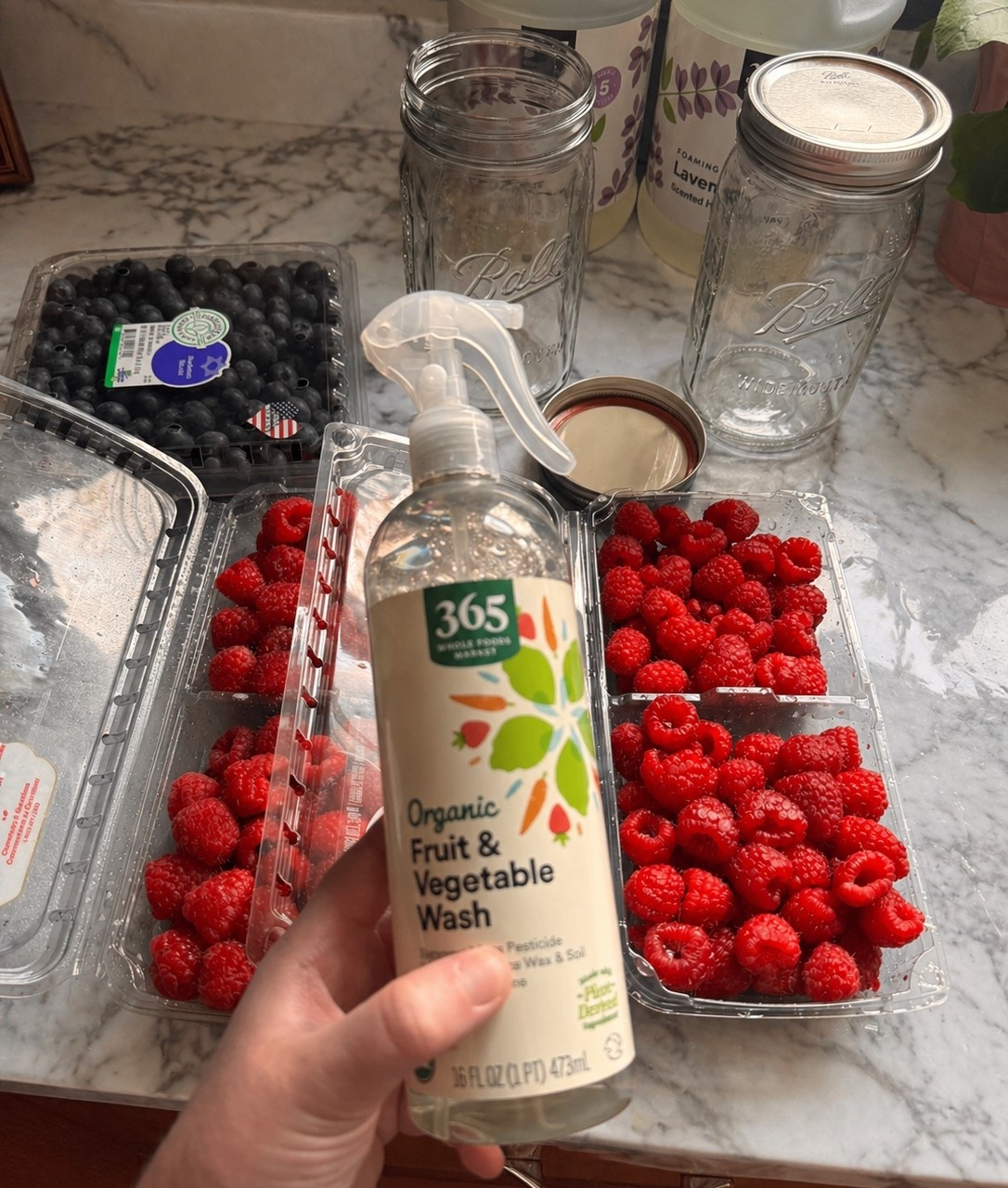 If your toddler goes through fruit like it’s their full-time job, you’re not alone 😂

I’ve been trying to keep things fresh longer and make sure everything is super clean before it hits those little hands. Lately, I’ve been washing all our fruit with a gentle fruit spray (goodbye, unwanted residue 👋) and storing everything in mason jars—and honestly, it’s been a game changer.

The fruit stays fresher, looks prettier in the fridge (we love a little organization moment), and it’s so easy to grab and go during snack time. Less waste, more convenience, and peace of mind knowing it’s clean and ready for my little one 💛

If you’re constantly restocking fruit like I am, this little routine might just save you some time (and money!).
#momlife #toddlersnacks #healthykids #momhack #cleaneating #kitchenorganization #freshfruit #parentingtips #momsofinstagram #simpleroutines
You can shop the exact links below ✨

#LTKmomlife #LTKfoodie #LTKKids