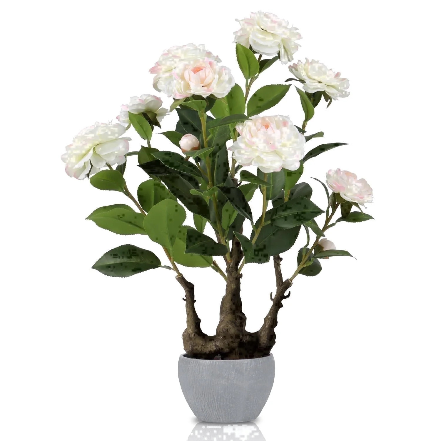 Small Artificial White Camellia Bonsai Tree Decor Tall Faux Blooming Camellia Flowers Tree Potte... | Walmart (US)