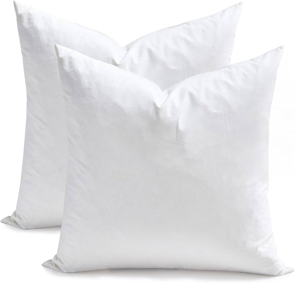 TOPGREEN Feather Down Throw Pillow Inserts 18 x 18, Set of 2, 100% Organic Cotton Shell, Soft Dec... | Amazon (US)