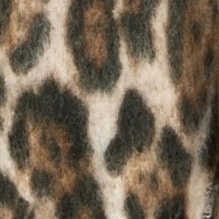 Leopard Print Super Soft Scarf | Nordstrom