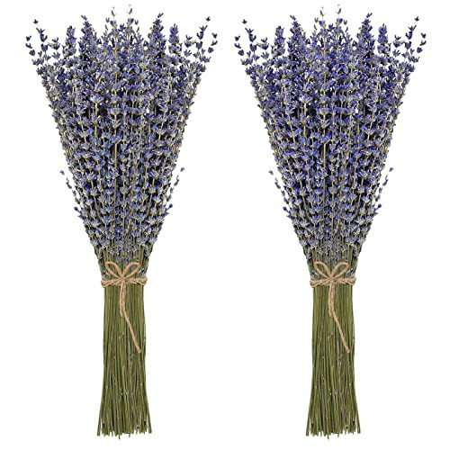 Timoo Dried Lavender Bundles 100 Natural Dried Lavender Flowers for Home Decoration, Photo Props, Home Fragrance, 2 Bundles Pack | Amazon (US)