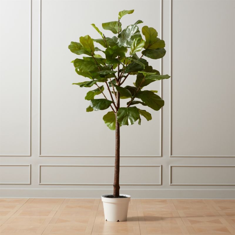 Faux Potted Fiddle Leaf Fig 7' + Reviews | CB2 | CB2