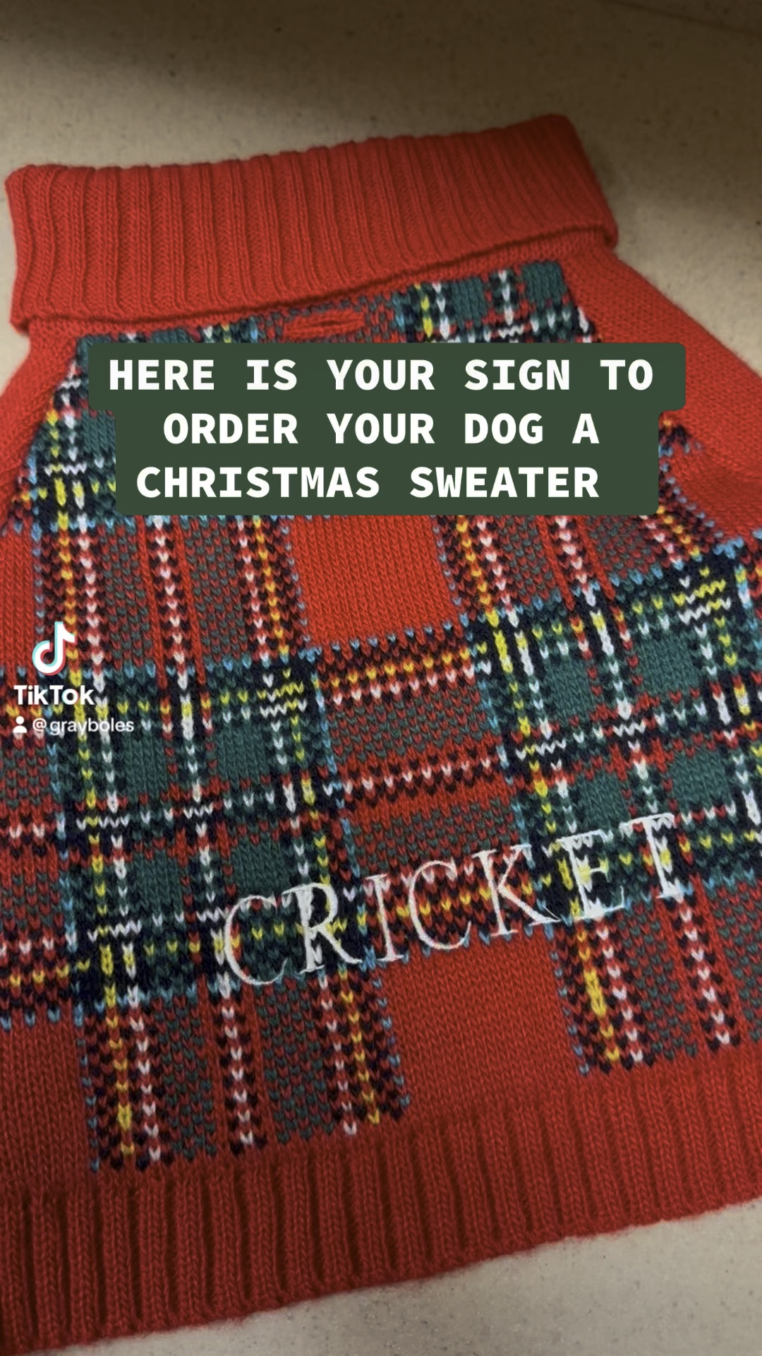 Christmas Sweater for your sweet pup! 🐶  

#LTKGiftGuide #LTKFindsUnder100