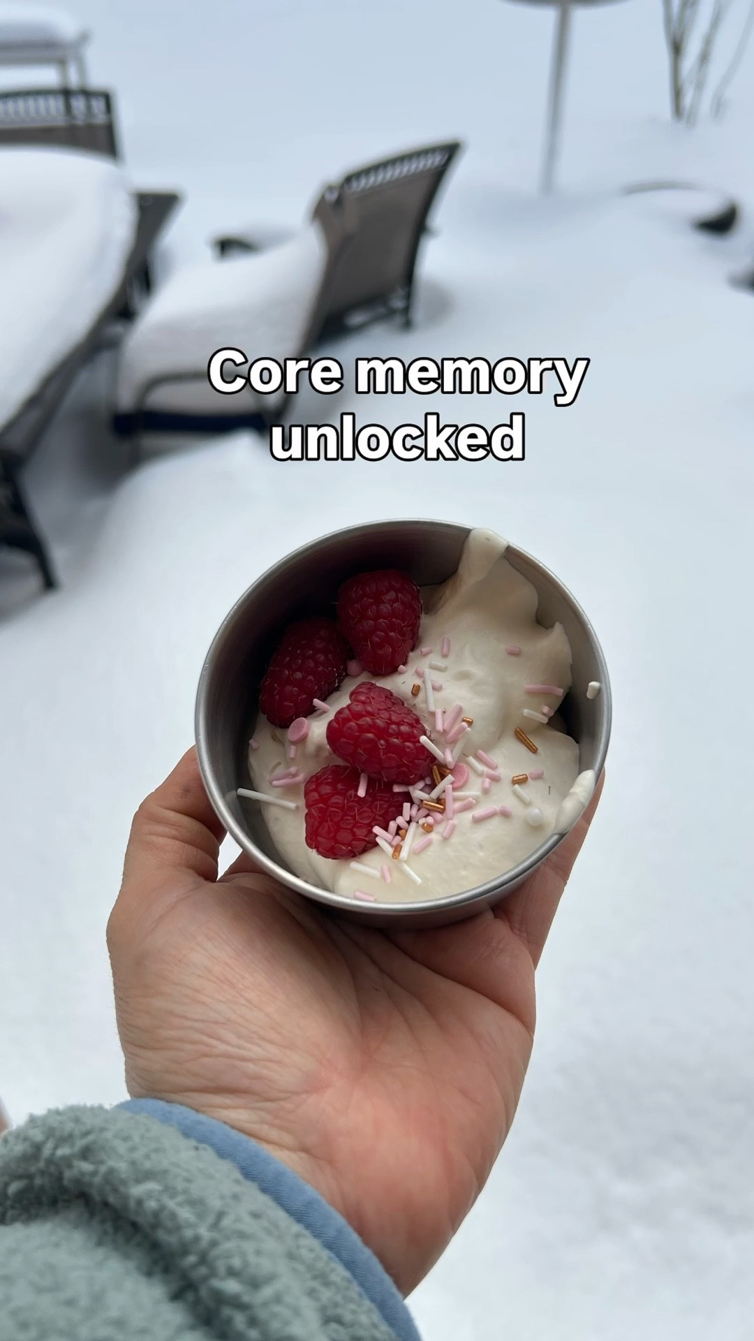 Okay but have you ever made ice cream in the snow? 😂❄️

We brought the snow inside (because I don’t do freezing temps), blended heavy cream + maple syrup + vanilla, and it turned into soft serve in about 10 minutes.

Linking everything I used here 🤍

Save this for your next snow day!


#LTKfoodie #LTKKids #LTKSeasonal