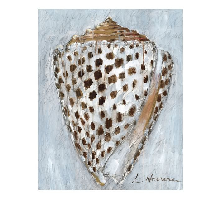 Shell Study #2 Canvas Print by Lauren Herrera | Pottery Barn (US)