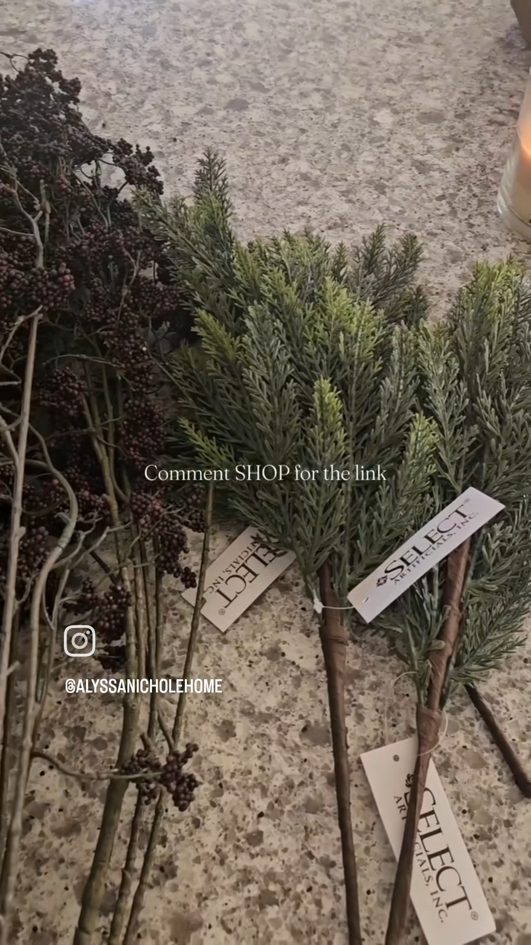 My new favorite holiday stems from Elements by Remedy! 

#LTKSeasonal #LTKHome #LTKHoliday