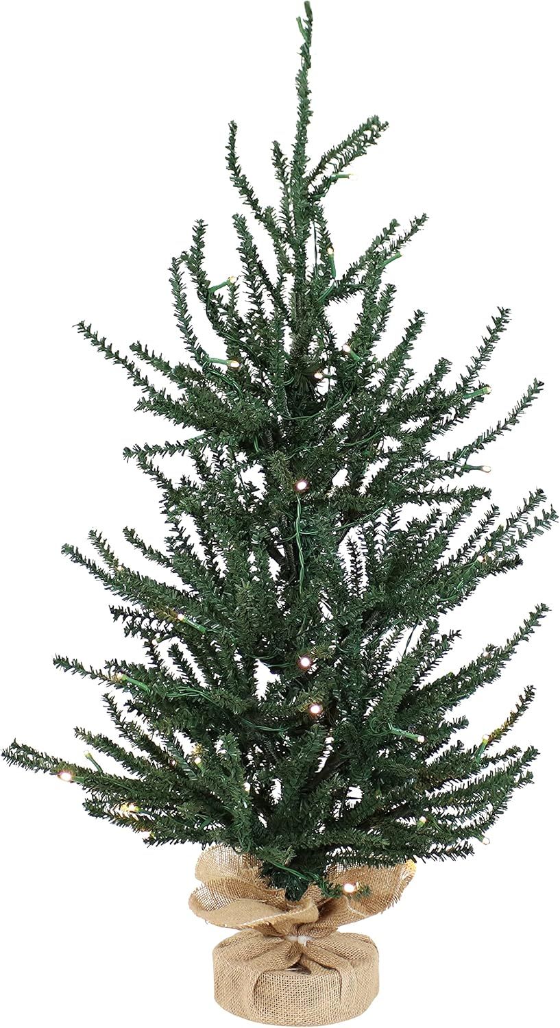 Sunnydaze Festive Pine 3-Foot 70-LED Light Artificial Christmas Tree - 27 PVC Branch Tips - Burla... | Amazon (US)