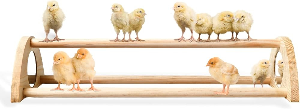 TonGass 16" Extra Long Chicken Perch - Freestanding Roosting Bar for Baby Chicks with Built-in Mi... | Amazon (US)