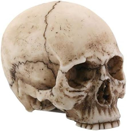 Small Human Skull Halloween Miniature Figurine 1.75 in | Amazon (US)
