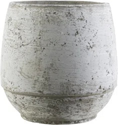Kelly Clarkson Home Camryn Cement Pot Planter | Wayfair North America
