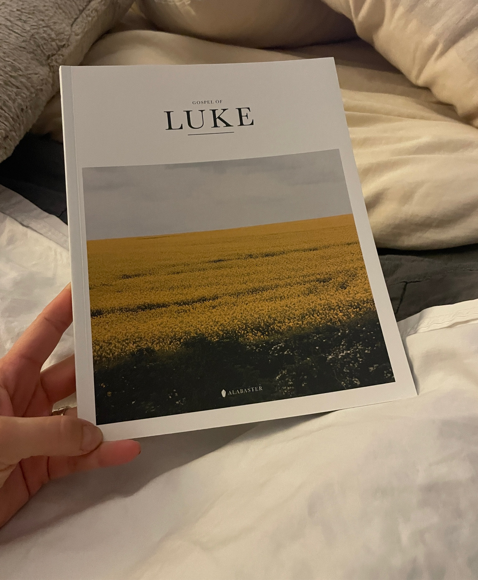 They have taken the book of Luke (word for word) and have added beautiful photos to create memorable imagery to go along with what you're reading. Also doesn’t feel as overwhelming. 

I love the clean and minimal aesthetics of this book. It caught my eye at a friends house and became a wonderful conversation-starter.


#LTKHome