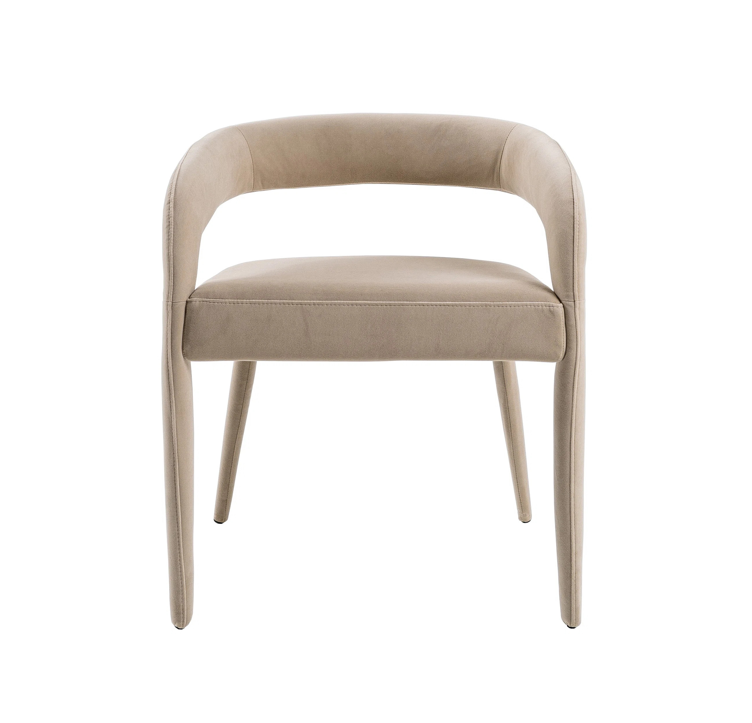 Freddi Velvet Dining Chair | Wayfair North America