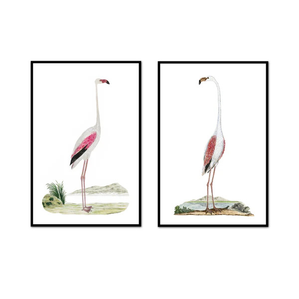 Flamingo Beauty Pair | Urban Garden Prints
