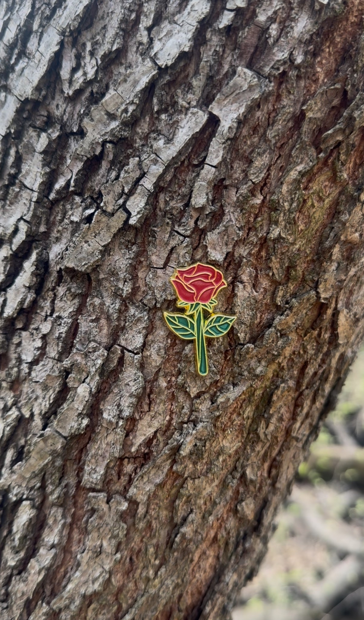 Rose pins that we love to put up places that we go as a way to remember & honor our baby girl that passed at 15 months old on New Year’s Day 2025. If you would like to join us in honoring her here is the link to the rose pins on Amazon. If you put them up in your backyard, somewhere you go frequently with your kids, etc say a prayer when you put it up & then tag me @taybayyyyy & @nolasroses on insta 🌹❤️‍🩹 

#LTKBaby #LTKFamily