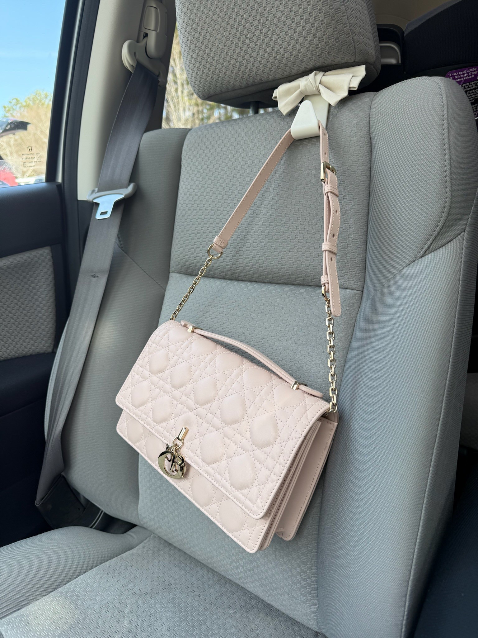 My passenger princess! Love this handbag hook, keeps my bags from sliding all over my passenger seat. 

#LTKItBag #LTKFindsUnder50 #LTKTravel