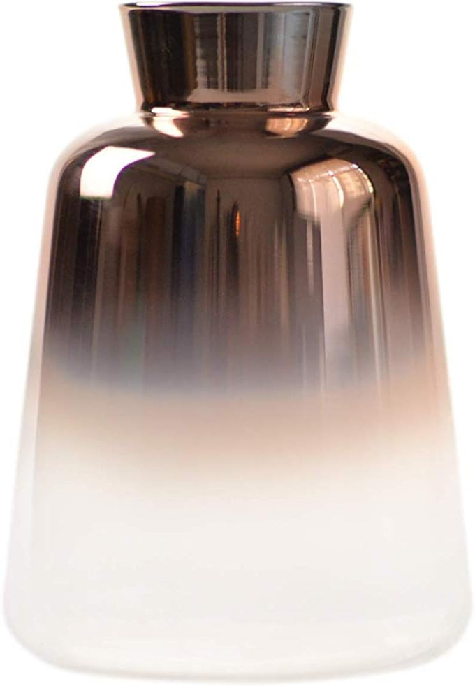 Flower Bud Ombre Vase, Desk Floral Glass Bud Vase, SVY Champagne Gold Color Stylish Decorative Sc... | Amazon (US)