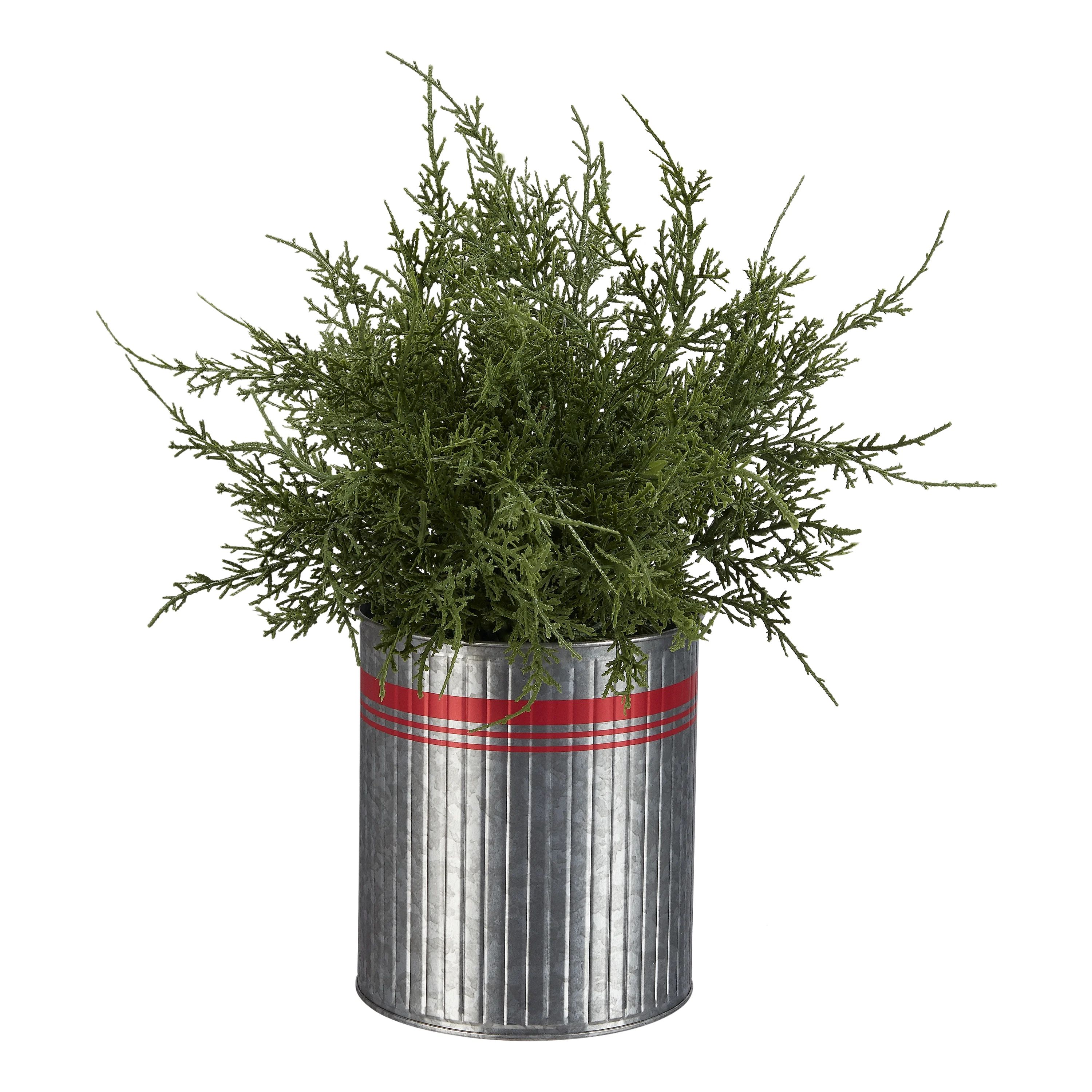 Holiday Time Greenery Tree with Red Striped Metal Bucket Christmas Decoration, 14" | Walmart (US)
