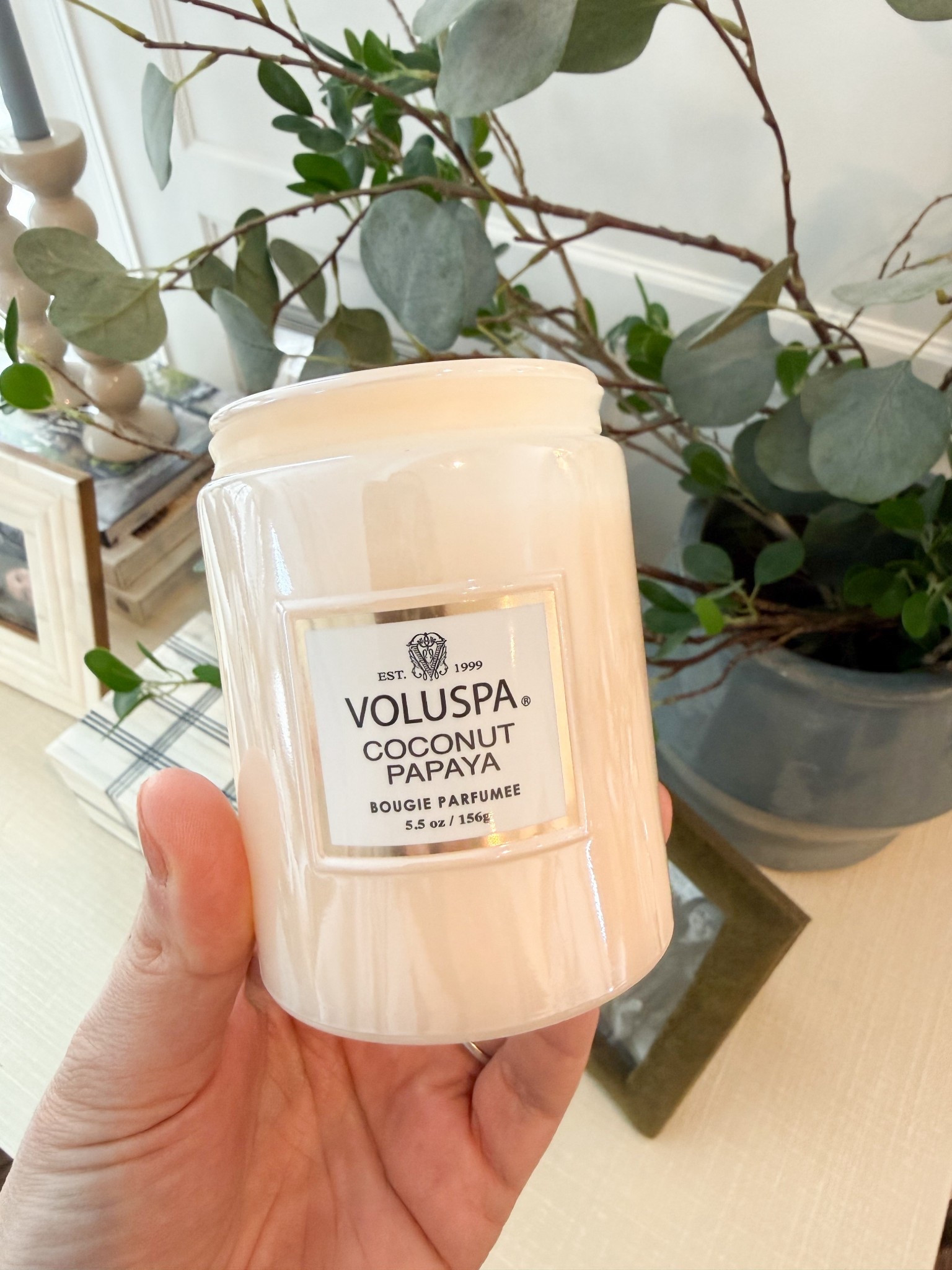 Best smelling candle! It smells like a sunny vacation and makes me so happy. You can use code GIRLONTHEHUDSON for a discount site-wide ! 

#LTKSaleAlert #LTKHome #LTKSeasonal