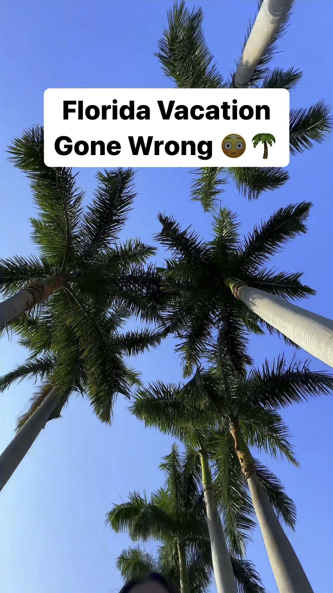 I can't believe it ended this way... 

Welcome to my page! From a spontaneous, life-changing decision on vacation, I'm on a colorful fashion mission to prove that your 30s shouldn't be boring! 

Follow me here for a daily dose of style tips to help you shine even brighter ☀️

#LTKSeasonal #LTKTravel #LTKStyleTip