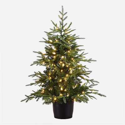 (A12) Pre-Lit LED Potted Bradford Spruce Christmas Tree, 4' | At Home