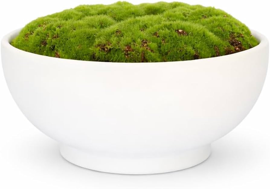 Ceramic Moss Bowl | 10 Inch | Artificial Moss Centerpiece | Minimalist Decorative Bowl | Amazon (US)
