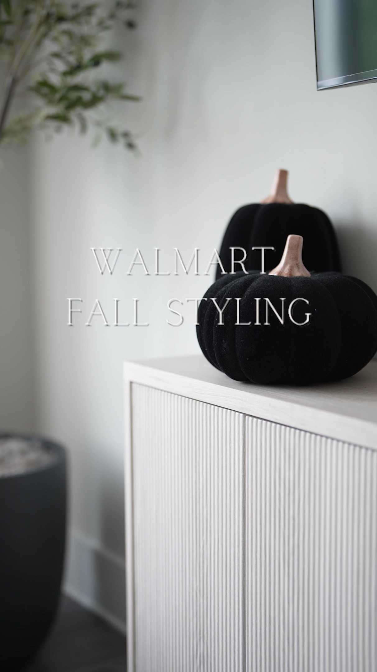 These Black Flocked Pumpkins from Walmart are giving Luxury at an affordable price  

#LTKFindsUnder50 #LTKStyleTip #LTKHome