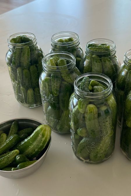 cucumbers  for eating and pickling 


#LTKSeasonal #LTKfamily #LTKhome