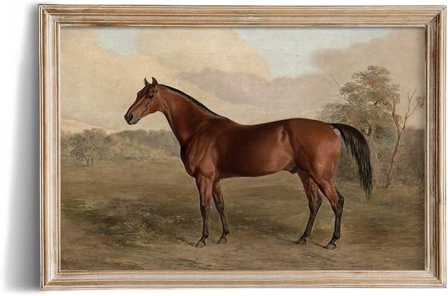 Rustic Farmhouse Wall Art Decor - Unframed Rolled Canvas 24x36 Large - Boho Landscape Pictures - ... | Amazon (US)