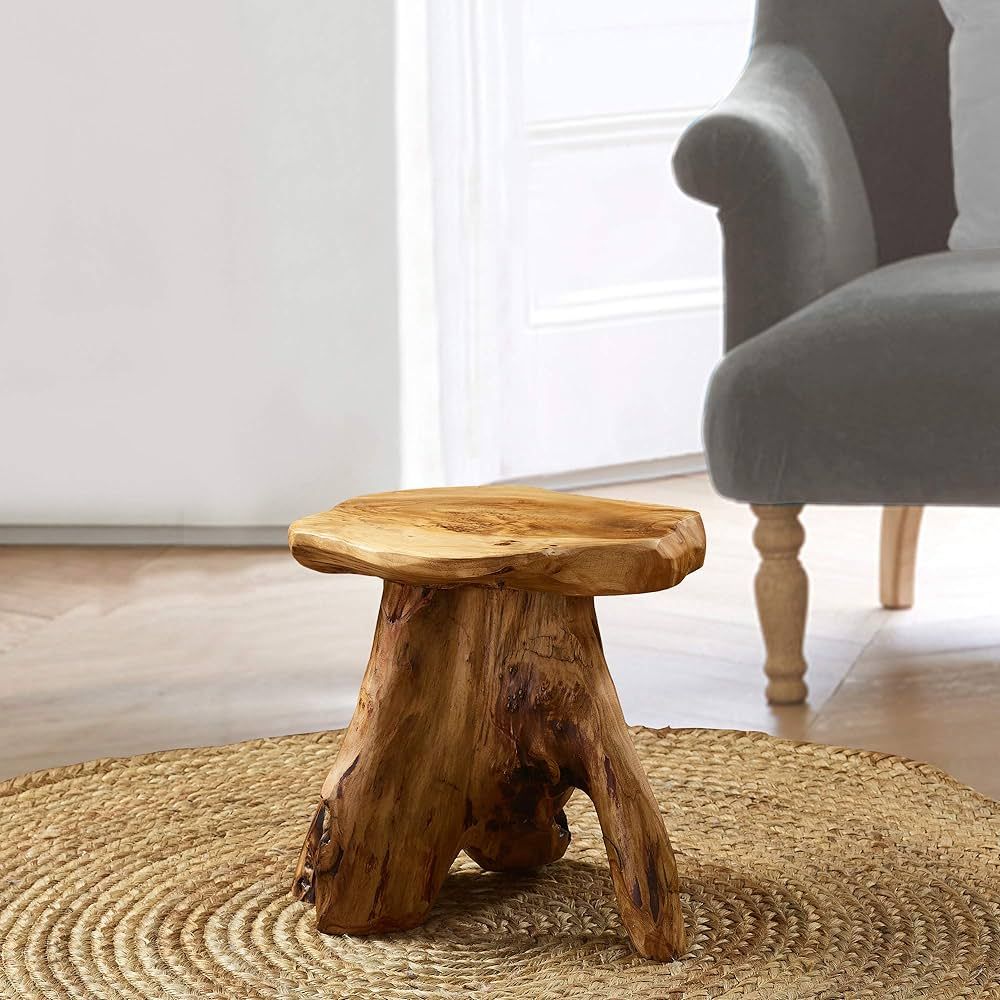 Greenage Cedar Roots Mushroom Stool Wood Stump Side Table Stand Home Décor End Table for Living ... | Amazon (CA)