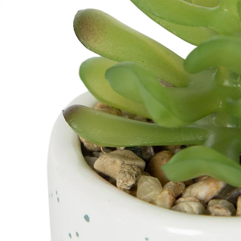 Design Ovation 4" Artificial Succulent in Ceramic Pot, Multi-Color | Walmart (US)