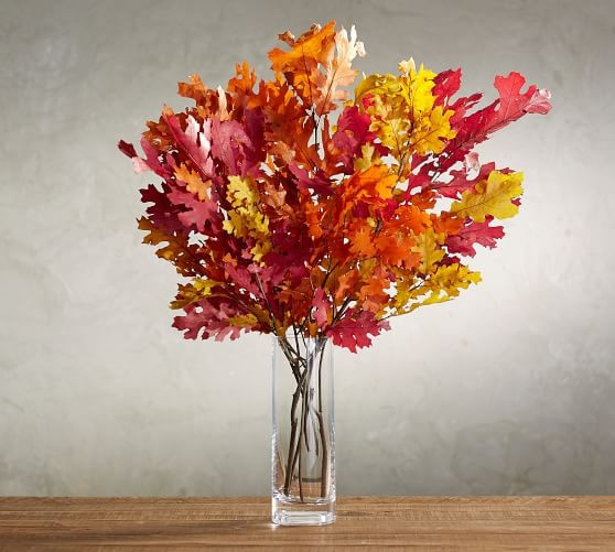 Live Preserved Oak Leaf Collection, Bundle | Pottery Barn (US)