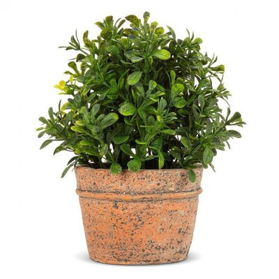 Artificial Plants - Bed Bath & Beyond | Bed Bath & Beyond