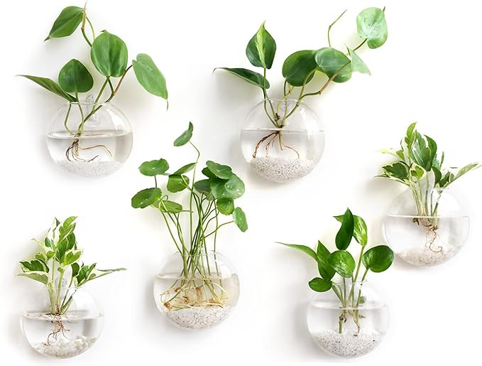 Mkono Wall Hanging Glass Terrariums Planter Oblate Flower Vase for Hydroponics Plants, Bathroom, ... | Amazon (US)