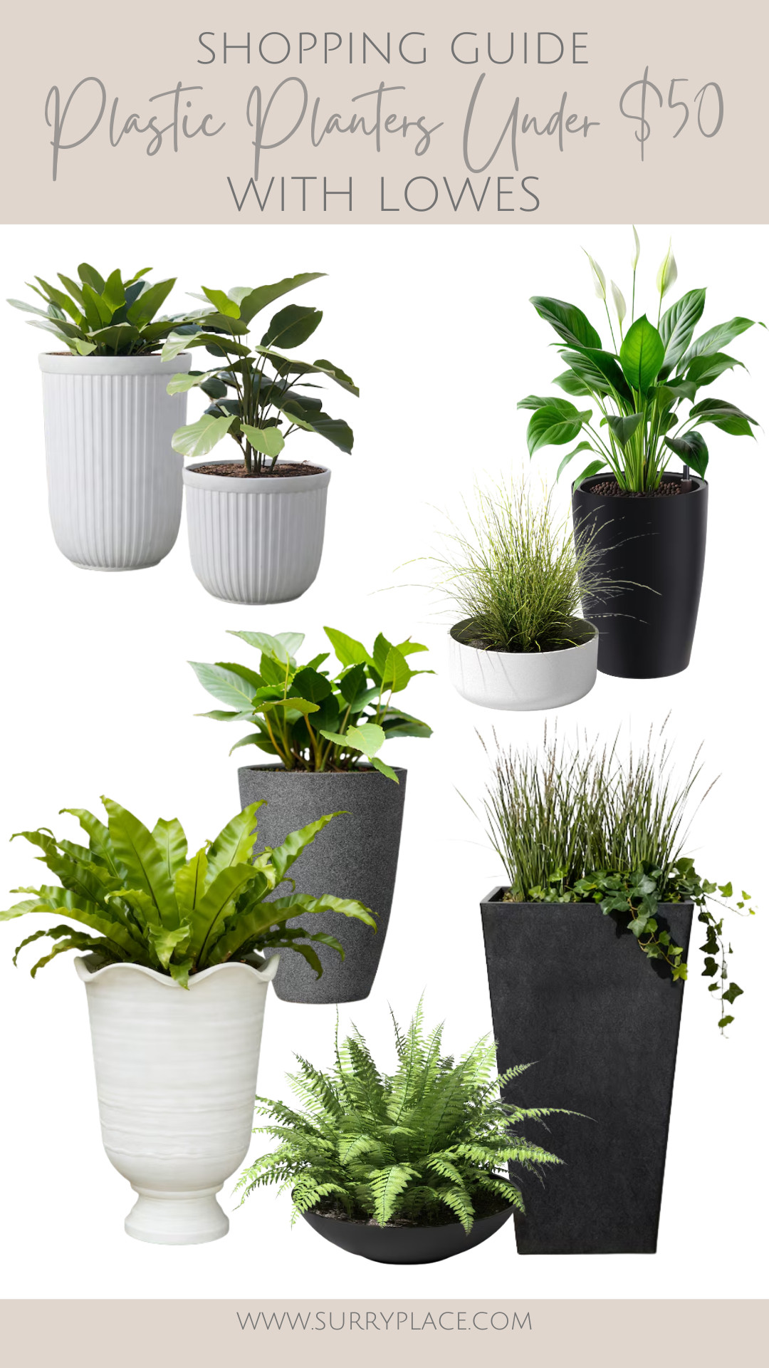 Plastic Planters Under $50
 

 #LTKHome
