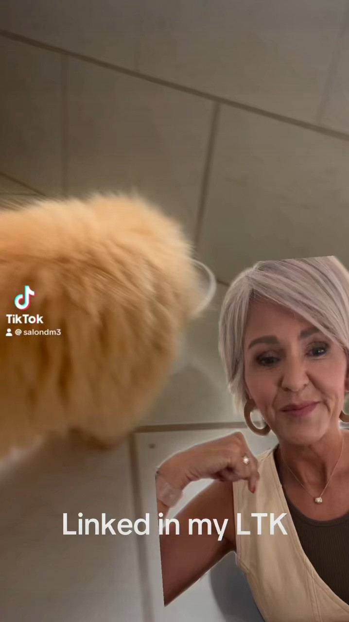 Whisker friendly bowl 

#cat #catlady #persiancat #pets #LTKPETS

#LTKFindsUnder50