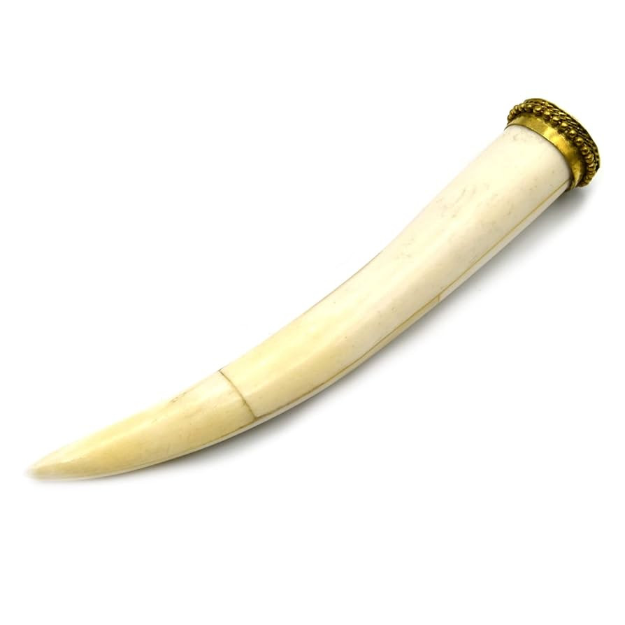 Bone Tusk Pendant | 4.5 Inch Ox Bone Focal Tusk Pendant | Horn Pendant | White | Amazon (US)