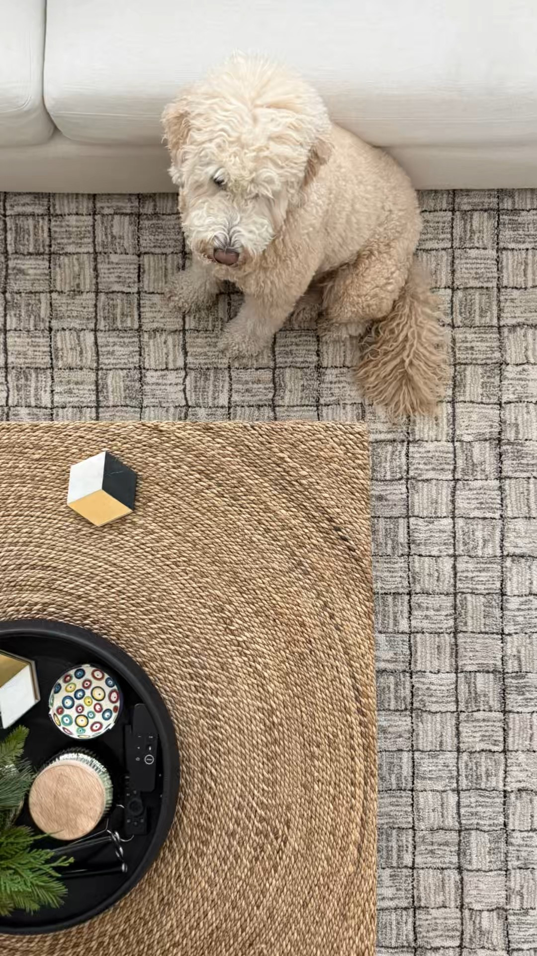 Pet-friendly neutral area rug for living rooms and high-traffic homes.
Grimsby is a durable, easy-care rug designed for today’s home — perfect if you have pets and want something stylish that lasts.

This non-wool rug features hand-drawn details and a soft, textural weave that adds dimension without high maintenance. Power-loomed from 100% polyester, it is stain-resistant, does not shed, and is easy to vacuum and clean. Medium pile height of 0.50” makes it comfortable underfoot while still practical for everyday living.

OEKO-TEX® certified, meaning it’s tested to ensure materials are free from harmful chemicals — ideal for family and pet-friendly spaces.
Neutral rug colors can vary depending on lighting, so ordering a rug sample is recommended. Always pair with a rug pad for added safety, cushioning, and easier maintenance.

✔ Pet-friendly rug
✔ Stain-resistant rug
✔ Non-wool rug
✔ Neutral living room rug
✔ Easy-care, no-shed rug


#LTKmomlife #LTKHome #LTKdayinmylife